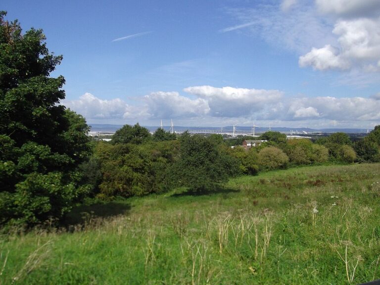 A grassy hillside looking out to the Severn Bridge from Kings Weston