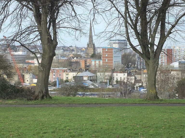 The city skyline framed by trees, seen from Victoria Park