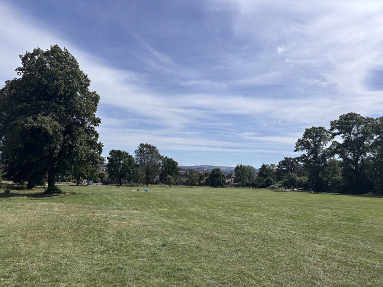 Open grass and large trees on Horfield Common
