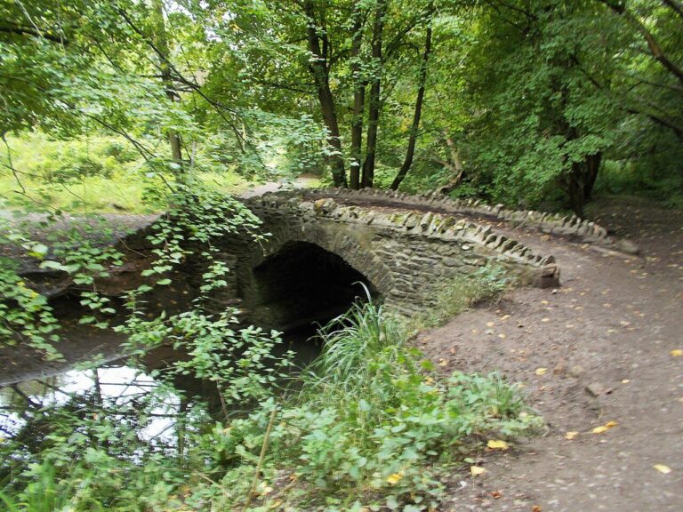An old stone bridge over the brook in Nightingale Valley