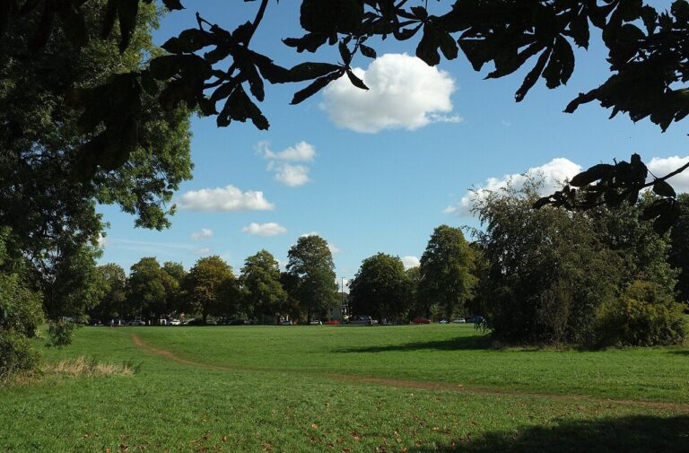 Open grass and trees on Durdham Down on a sunny day