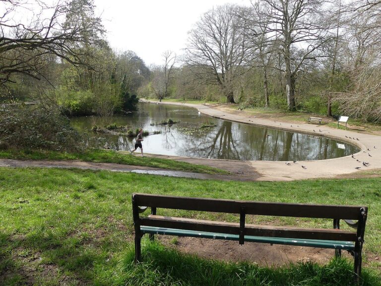 A bench by the lake in Eastville Park