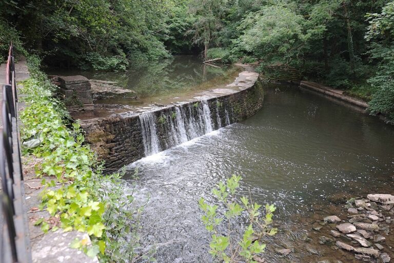 A weir on the River Frome in a wooded valley at Snuff Mills