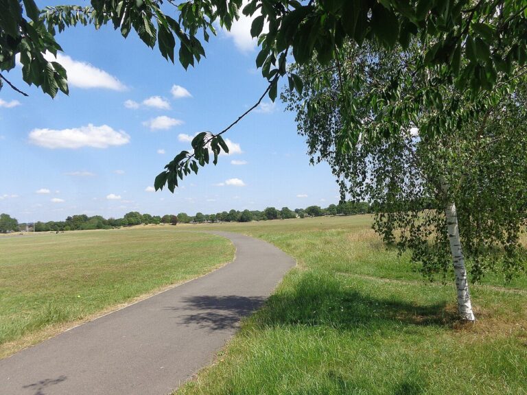 A path across open grassland at Hengrove Park