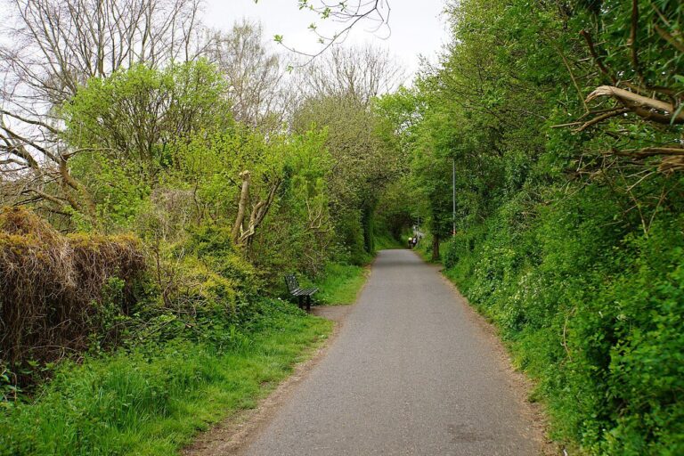A green tunnel of trees over the Bristol and Bath Railway Path