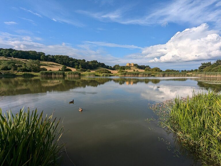 Duchess Pond reflecting the sky, with the Dower House on the skyline