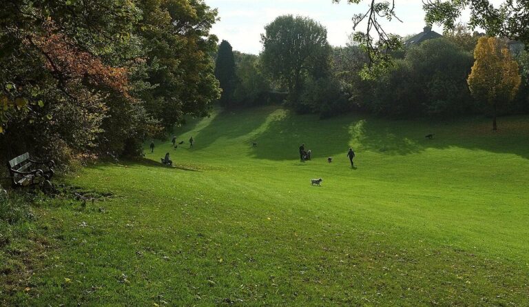 The grassy slope of Redland Green framed by trees