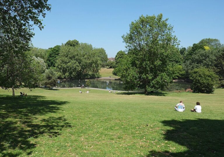 Sunny lawns and trees by the lake in St George Park