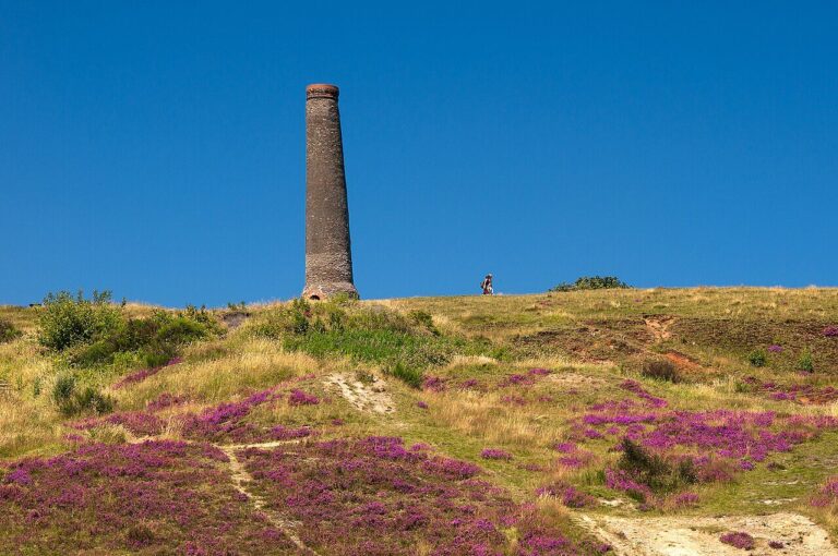 The old chimney on Troopers Hill above purple heather