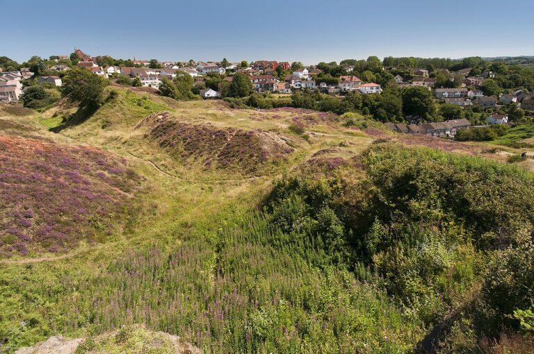 Heather-covered hollows on Troopers Hill nature reserve